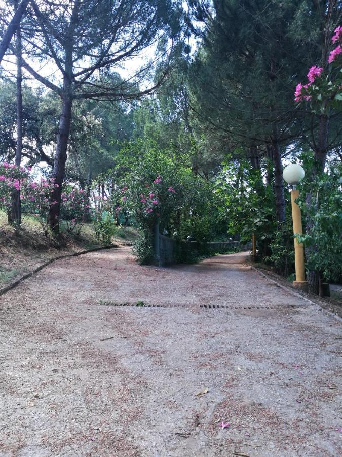 Villa Labriega del hueznar Cazalla de la Sierra Exterior foto